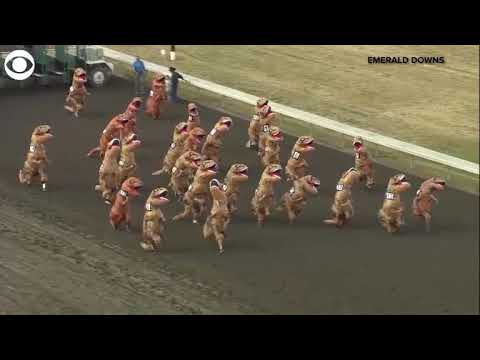 T-Rex Race