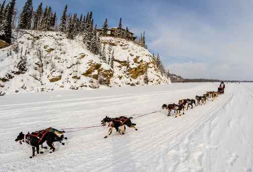 New Iditarod CEO seeks dialogue with animal rights critics