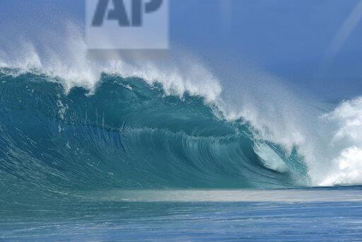 Hawaii man proposes to girlfriend while surfing on wave