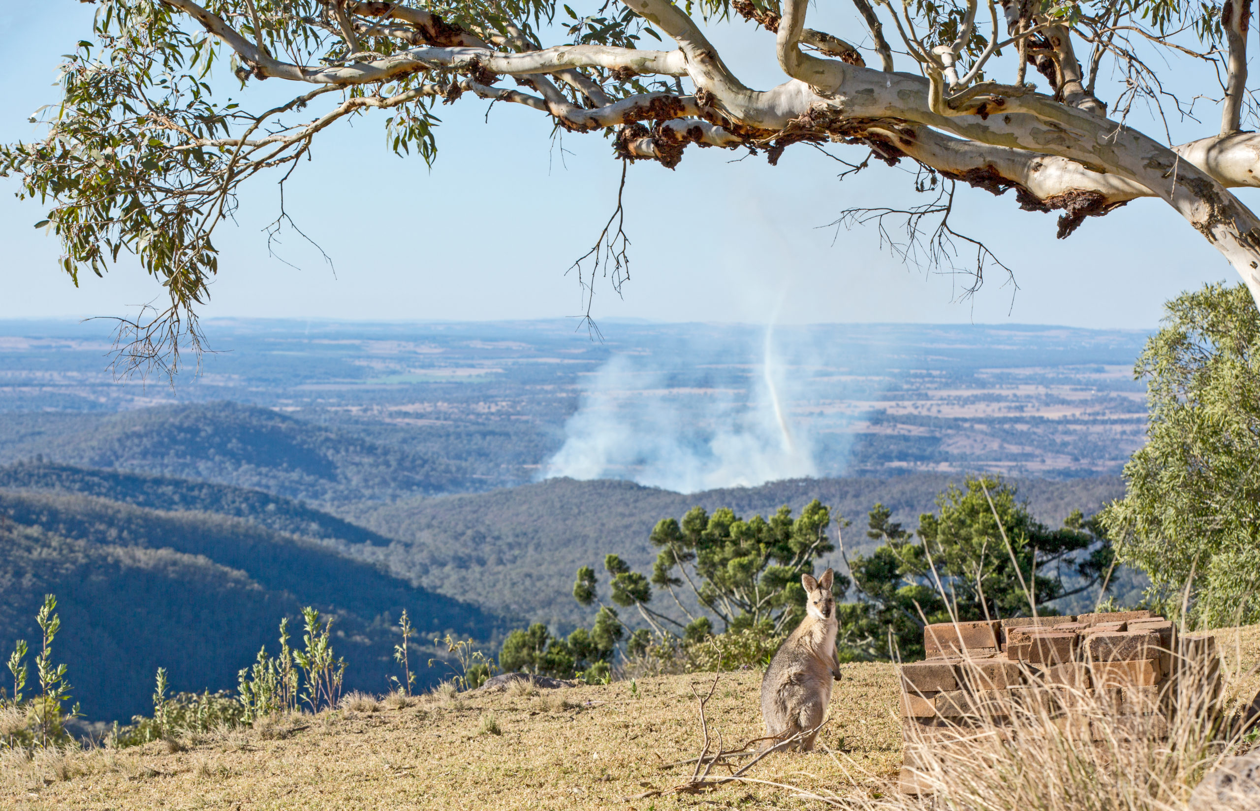 Australian Fire Tornado Caught on Camera | KWHL
