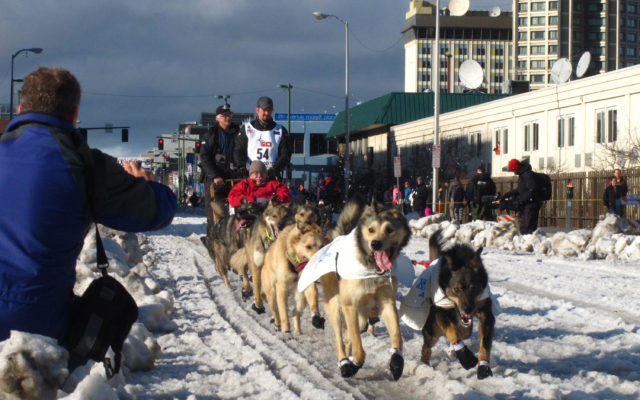 Dog illness prompts former Iditarod champion to scratch