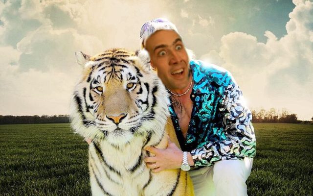 Nic Cage Heads to TV to Play Joe Exotic in Tiger King Series