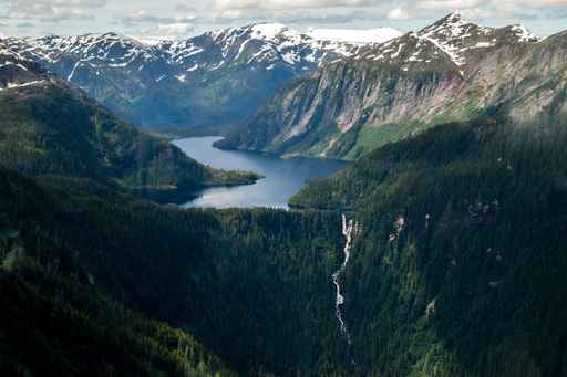 Alaska logging proposal moves forward despite opposition