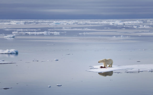 Senators propose assistant secretary of state for Arctic