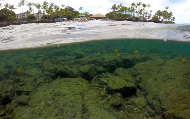 Global warming’s extreme rains threaten Hawaii’s coral reefs