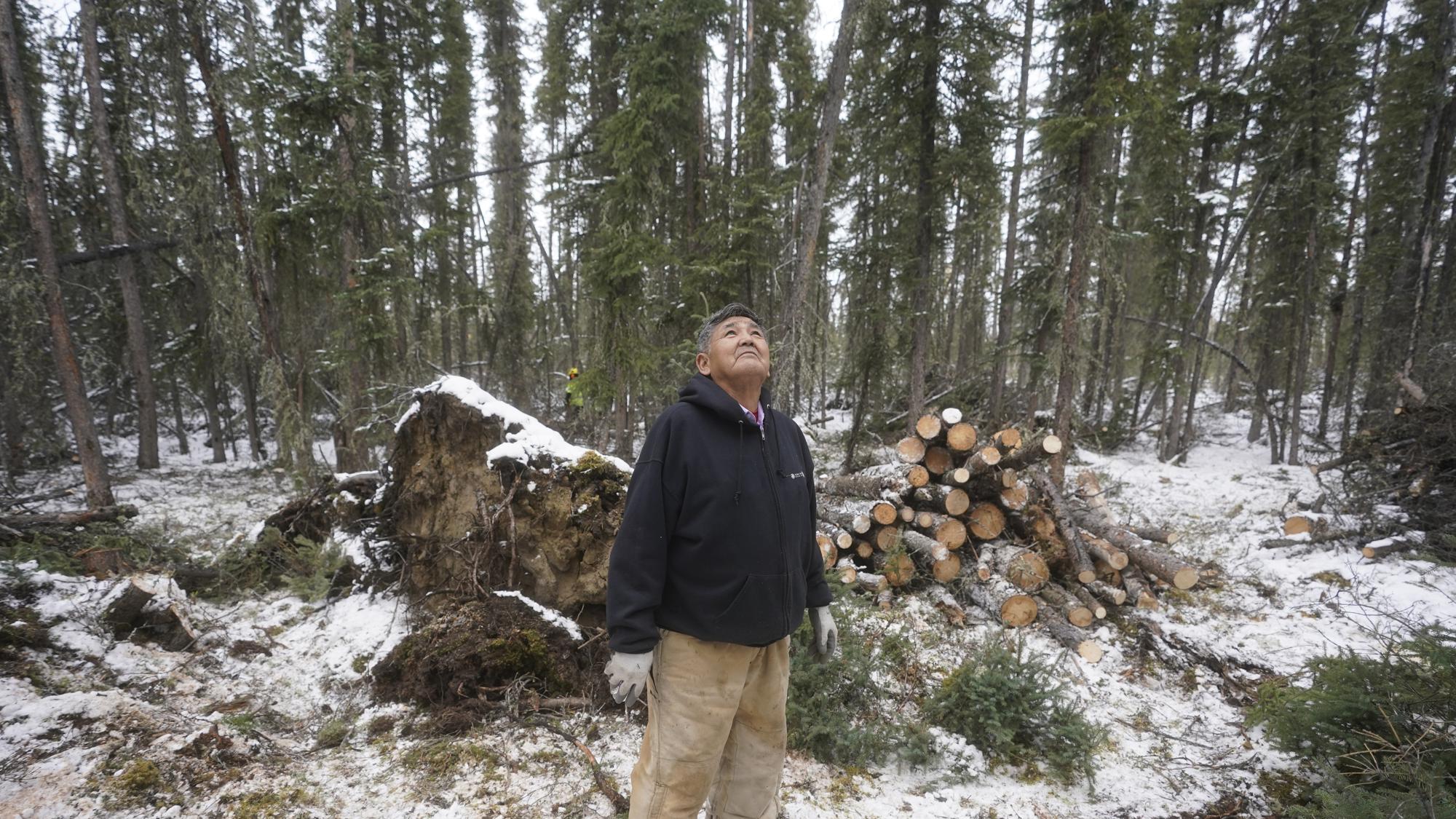 Alfred Jonathan looks at the trees Thursday, Sept. 23, 2021, in Tanacross, Alaska."If somebody gets sick around there, there's no place to take them," said 78-year-old Alfred Jonathan. He tells people that COVID is here."This one is pretty scary," said Jonathan, who encouraged people to get vaccinated if for nothing else, for the sake of their children and grandchildren. "And the other people that didn't get vaccinated?" he said. "Gosh, we're afraid for them."(AP Photo/Rick Bowmer)