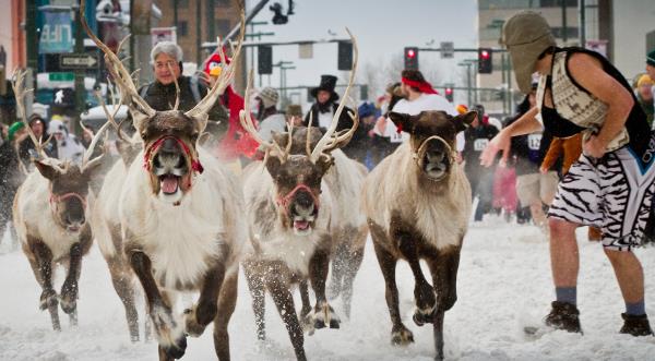 16th Annual Running of the Reindeer March 2nd